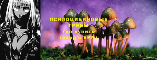 бошки Медвежьегорск