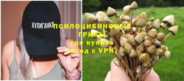 бошки Медвежьегорск