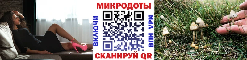 Купить закладки  Нижняя Тура  Псилоцибиновые грибы Cubensis 